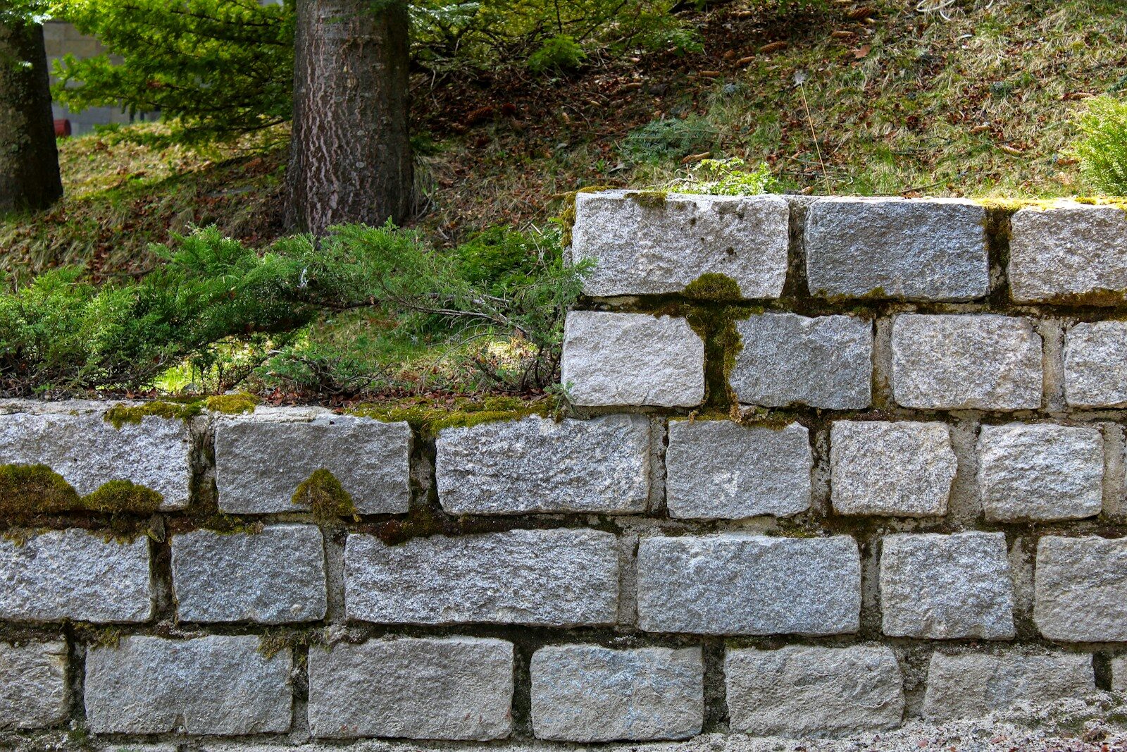 gray concrete brick wall near green grass and trees during daytime
