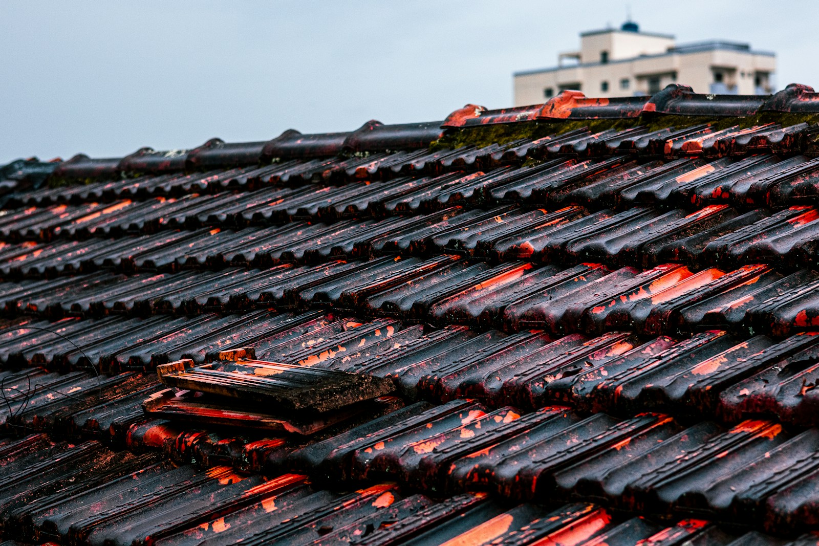 Close-up of dark, wet roof tiles with some damage.