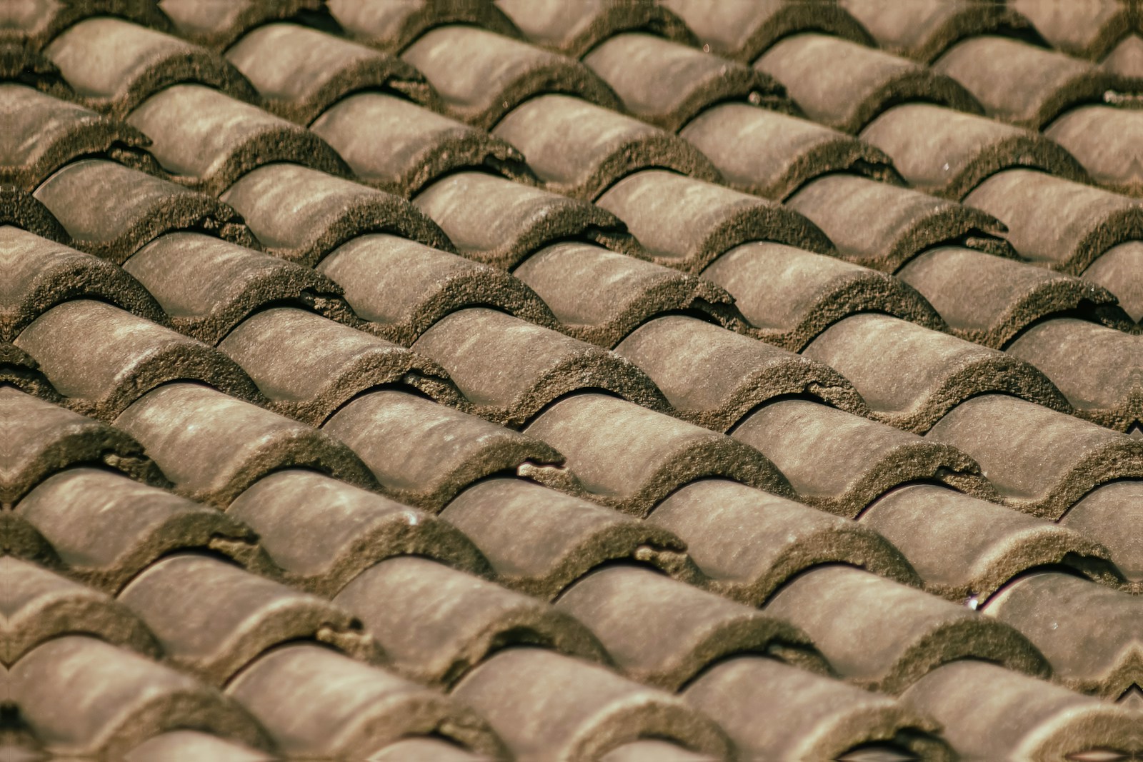 Close-up of weathered terracotta roof tiles in rows.